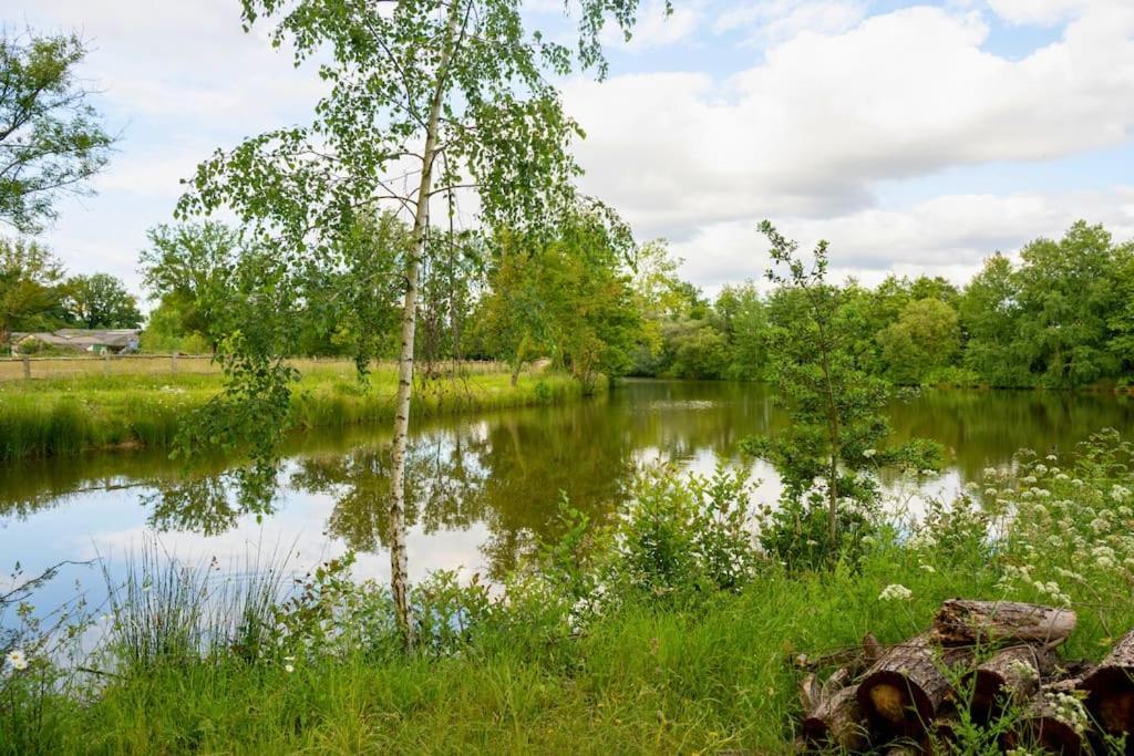 Vila L'Evasion En Pierre Piscine Et Etang Prive Sevremoine Exteriér fotografie