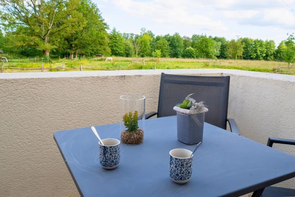 Vila L'Evasion En Pierre Piscine Et Etang Prive Sevremoine Exteriér fotografie