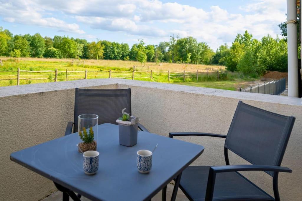 Vila L'Evasion En Pierre Piscine Et Etang Prive Sevremoine Exteriér fotografie