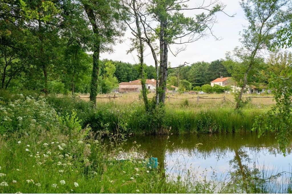 Vila L'Evasion En Pierre Piscine Et Etang Prive Sevremoine Exteriér fotografie